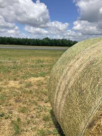 hay bale in field near runway